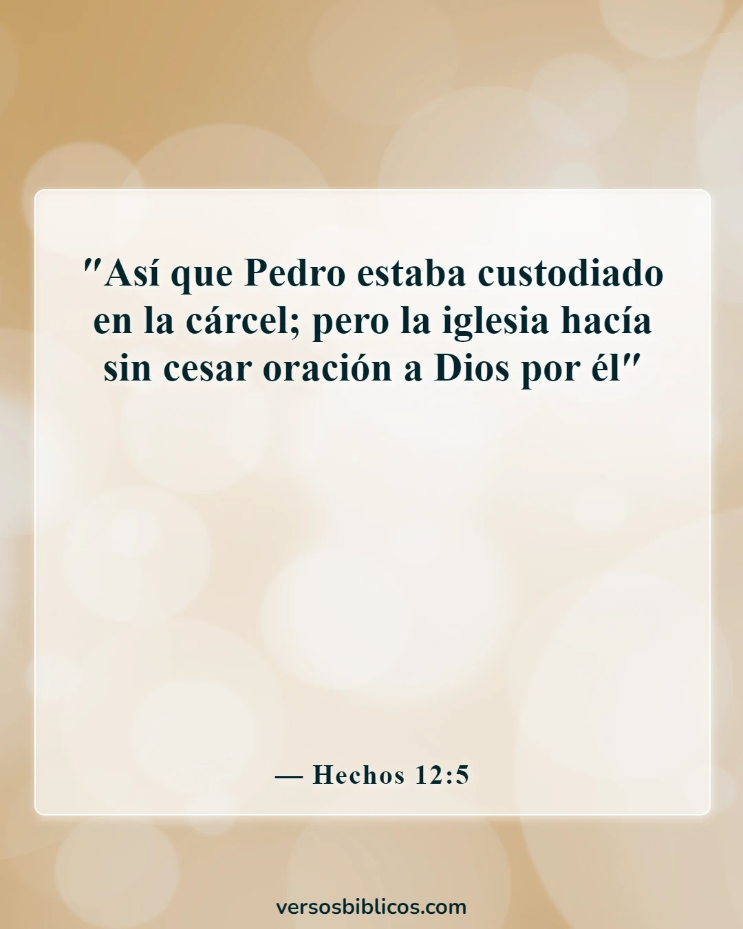 Versículos de la Biblia sobre pedir y recibir (Hechos 12:5)