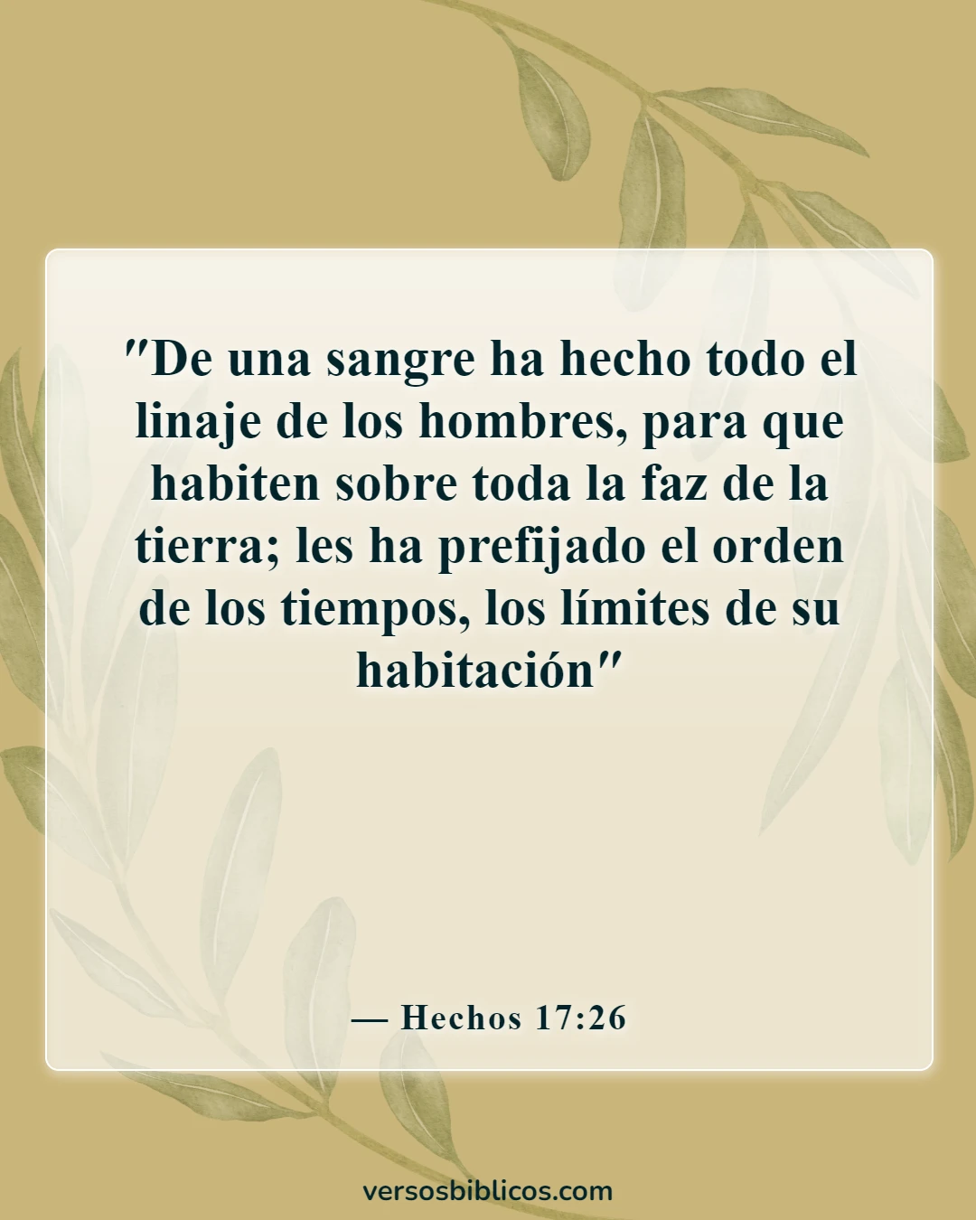 Versículos de la Biblia sobre aceptar a los demás (Hechos 17:26)