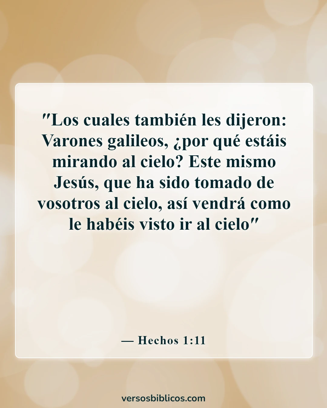 Versículos de la Biblia sobre Jesús (Hechos 1:11)