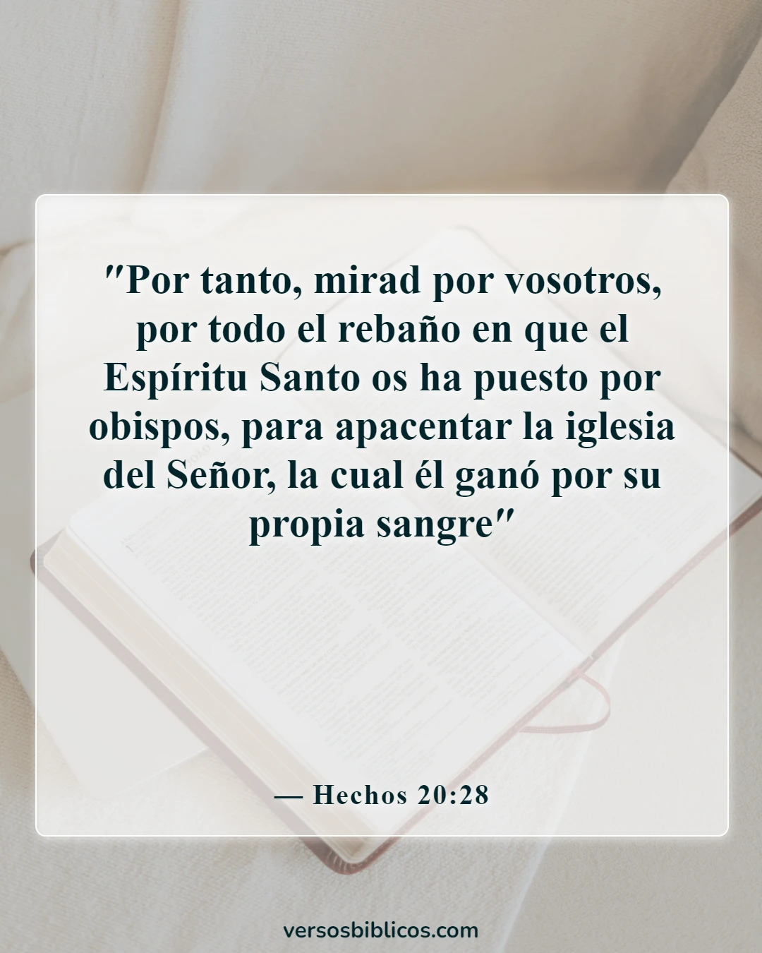 Versículos de la Biblia sobre mujeres predicadoras (Hechos 20:28)