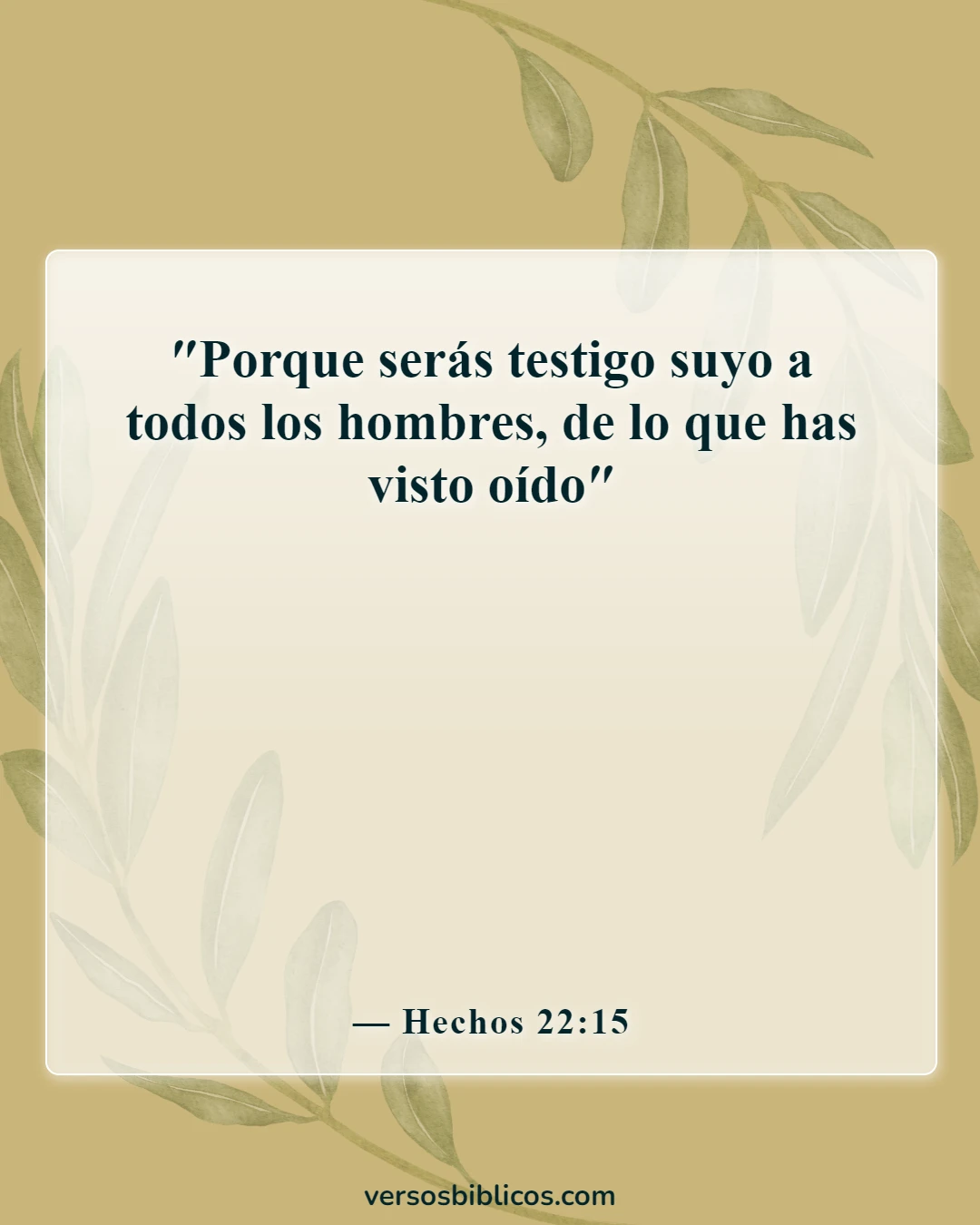 Versículos de la Biblia sobre el testimonio (Hechos 22:15)