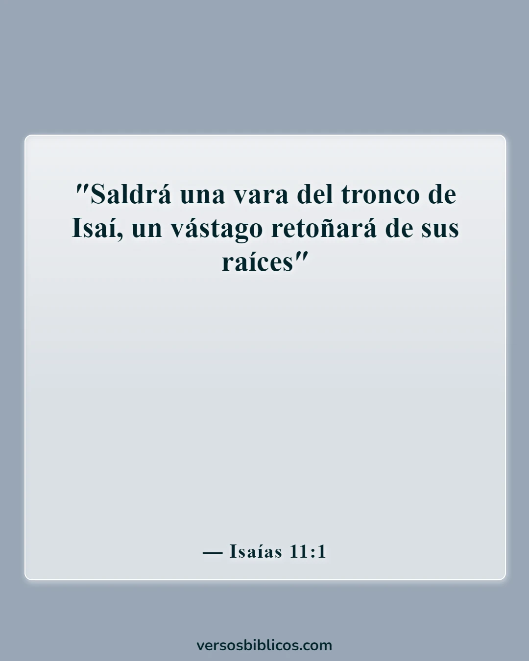 Versículos de la Biblia sobre la Navidad (Isaías 11:1)