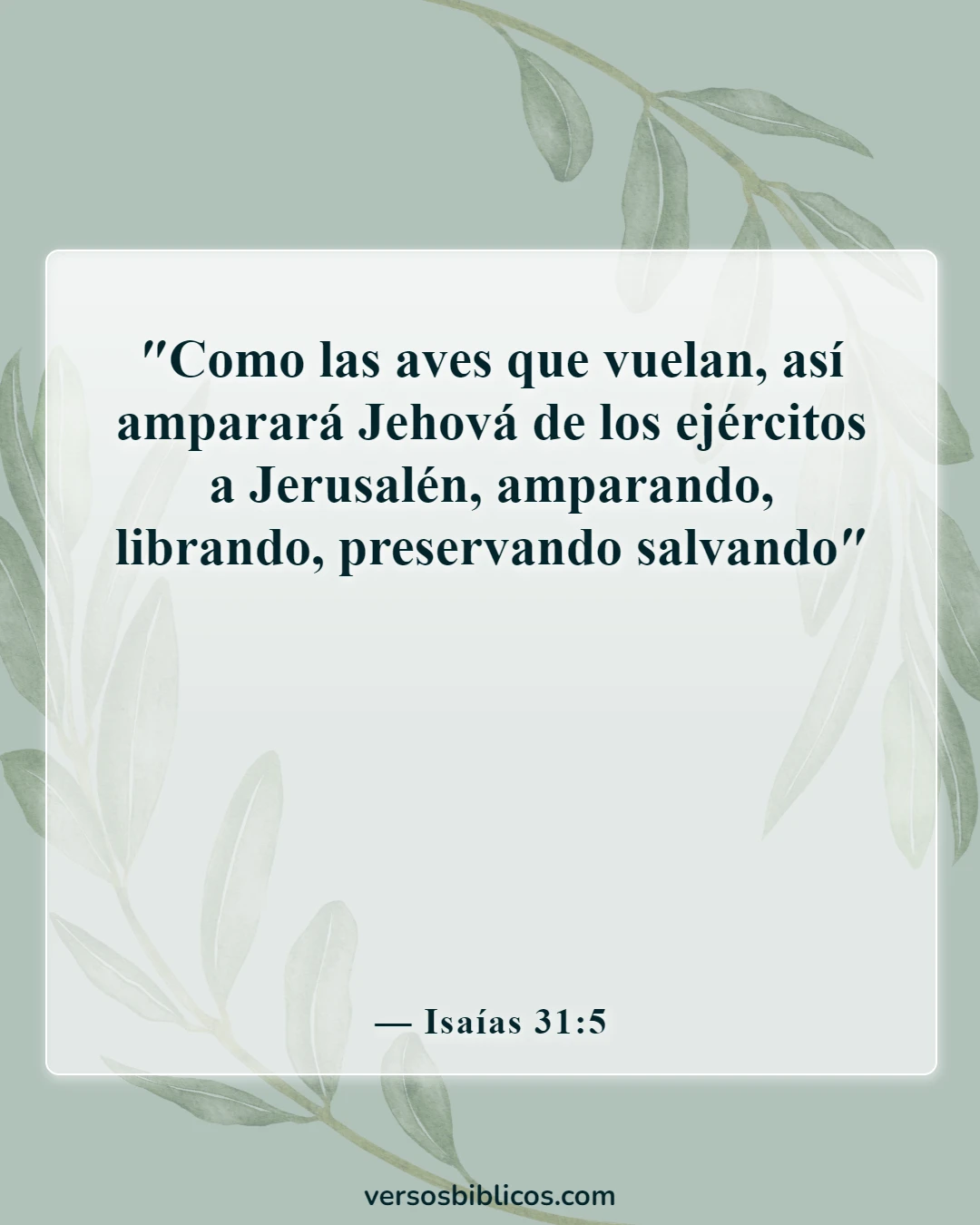 Versículos de la Biblia sobre la guerra en la Tierra (Isaías 31:5)