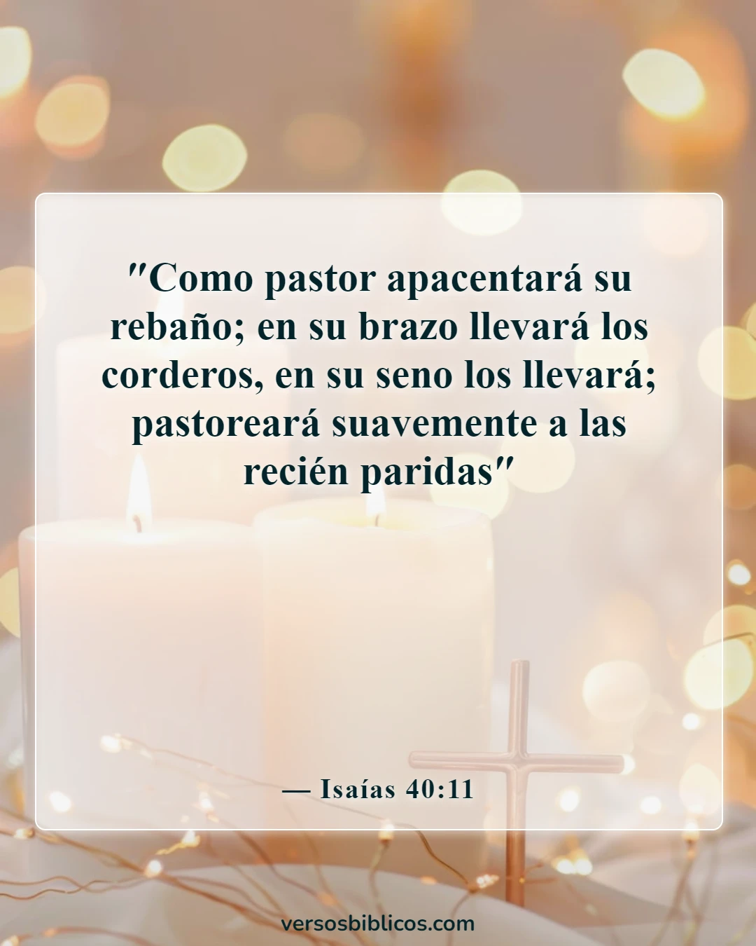 Versículos de la Biblia sobre Dios sosteniéndonos juntos en sus brazos (Isaías 40:11)