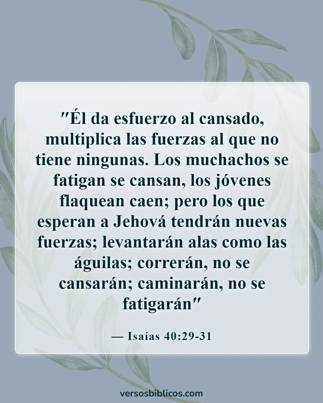 Versículos de la Biblia sobre el duelo por la pérdida de un ser querido (Isaías 40:29-31)