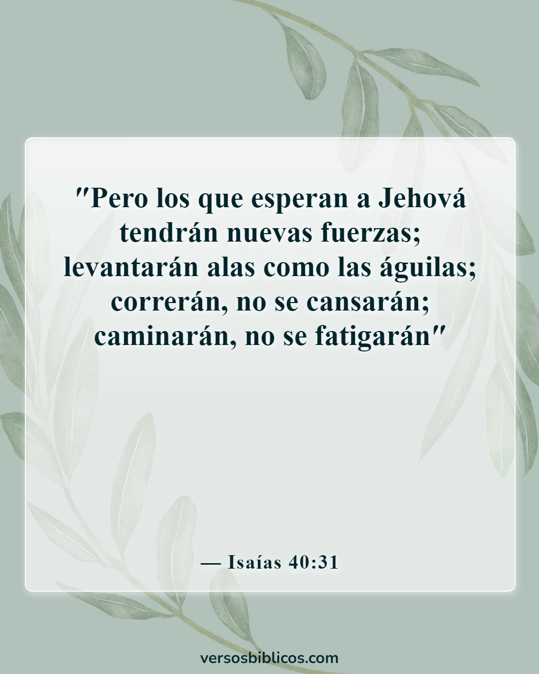Versículos de la Biblia sobre nunca rendirse (Isaías 40:31)