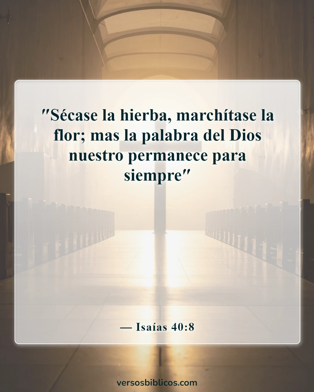 Versículos de la Biblia sobre cortos (Isaías 40:8)