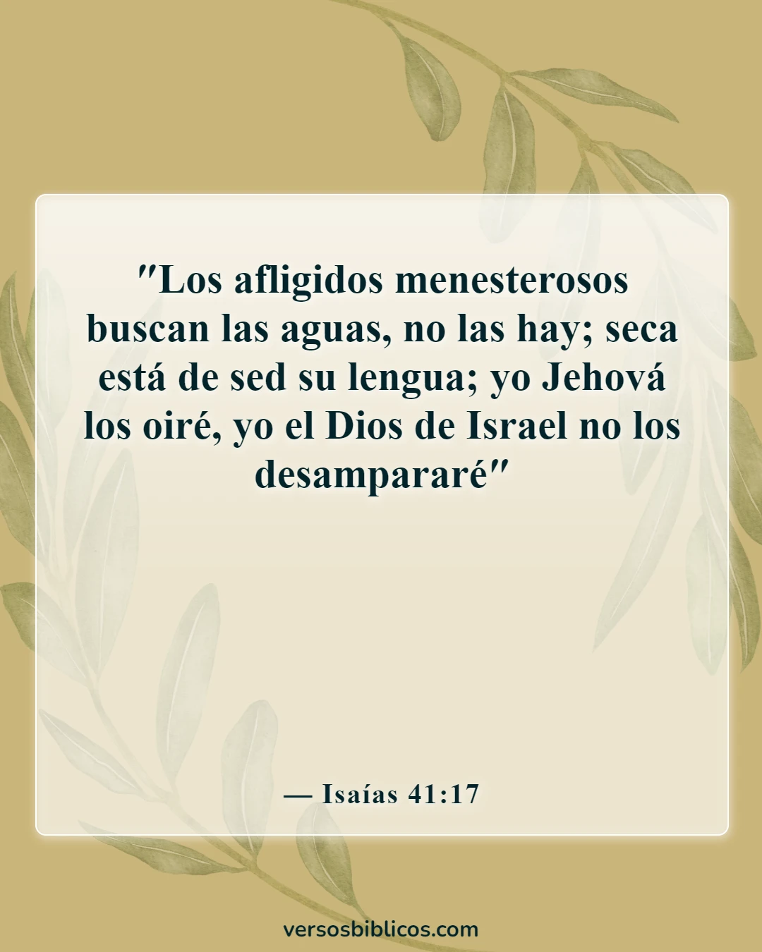 Versículos de la Biblia sobre los pobres siendo ricos (Isaías 41:17)