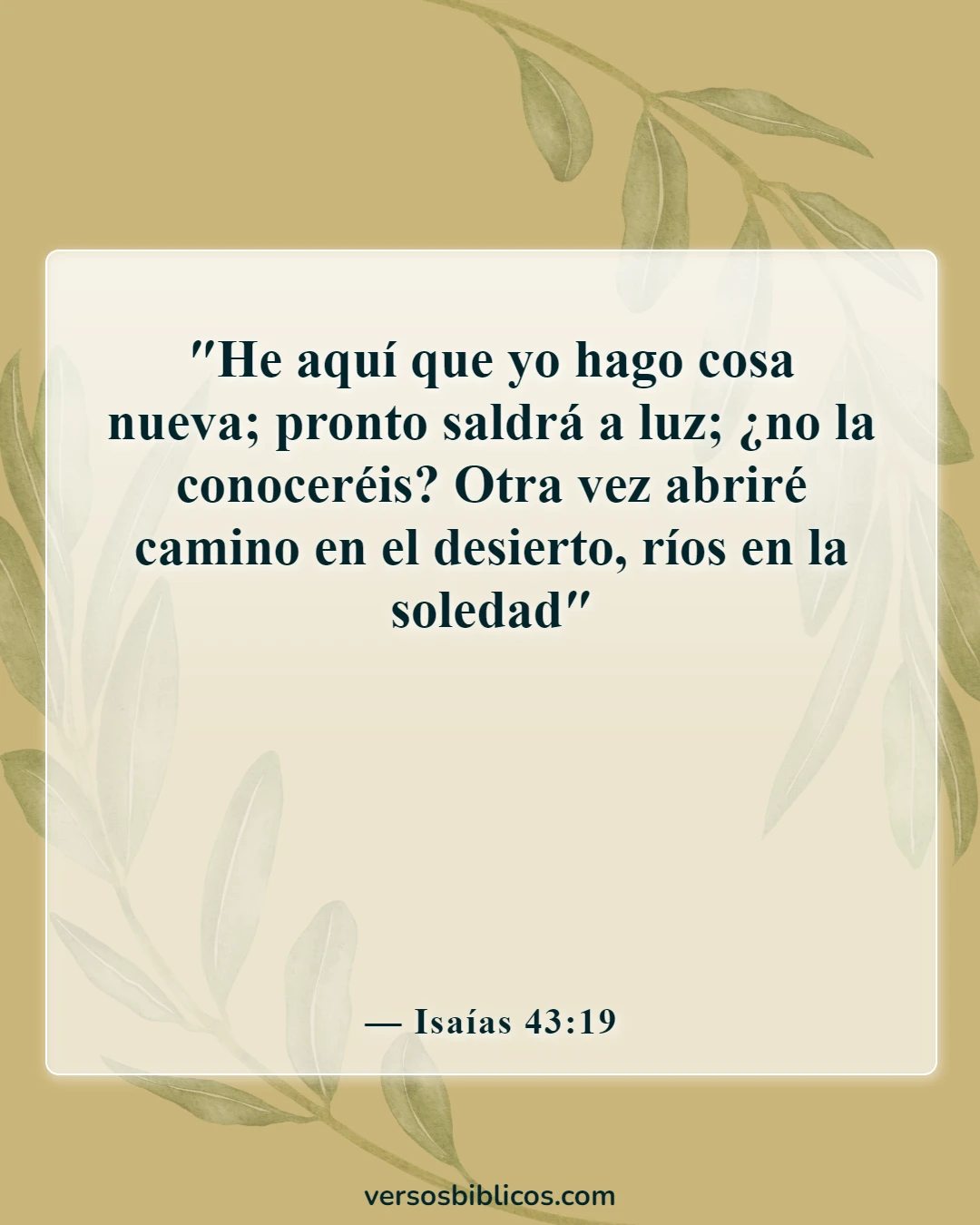 Versículos de la Biblia sobre el cambio de mal a bien (Isaías 43:19)