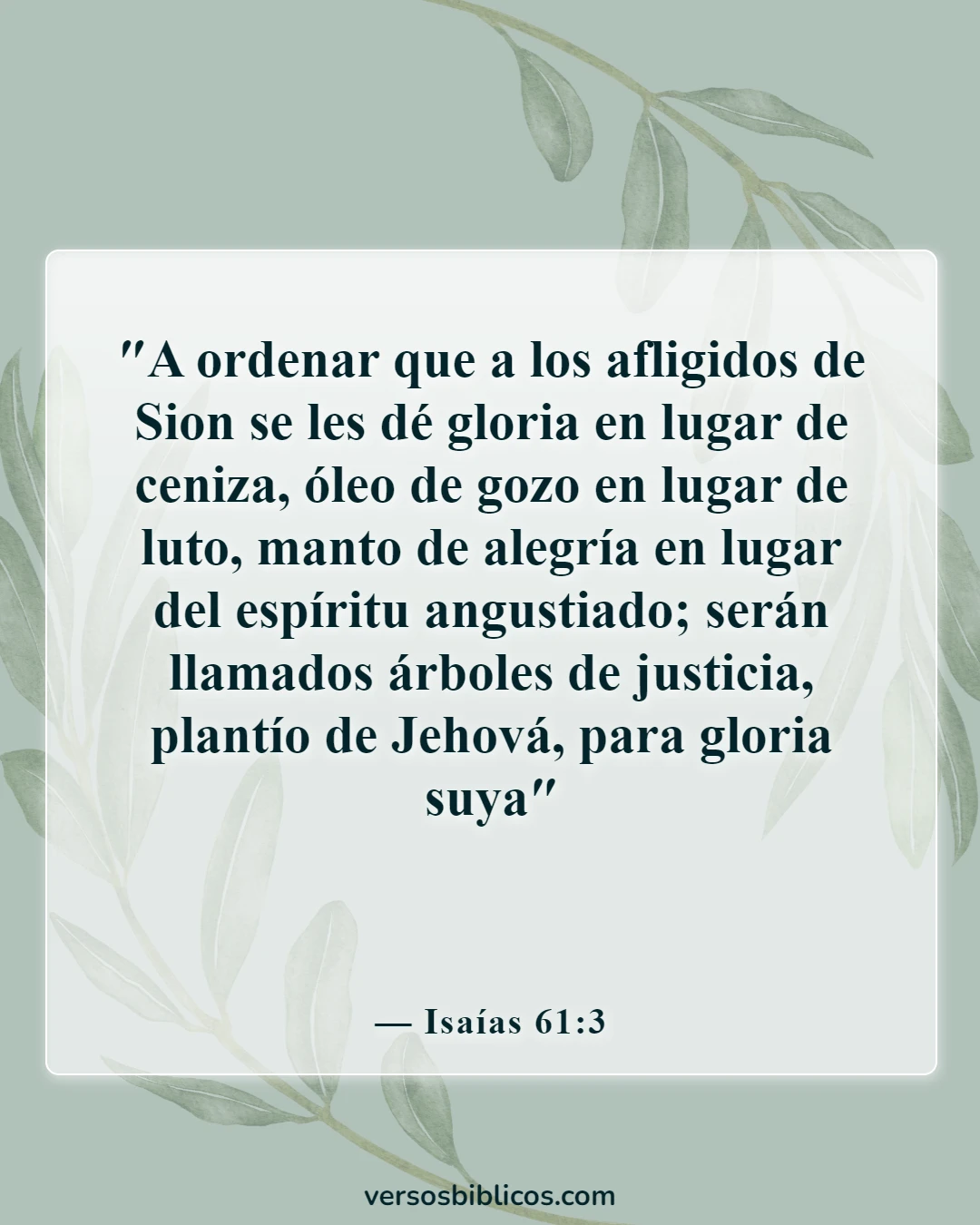 Versículos de la Biblia sobre el duelo por la pérdida de un ser querido (Isaías 61:3)