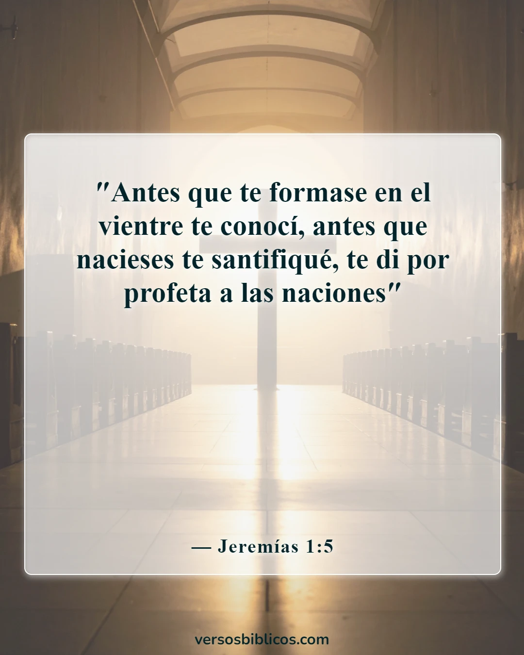 Versículos de la Biblia sobre vivir la vida con propósito (Jeremías 1:5)