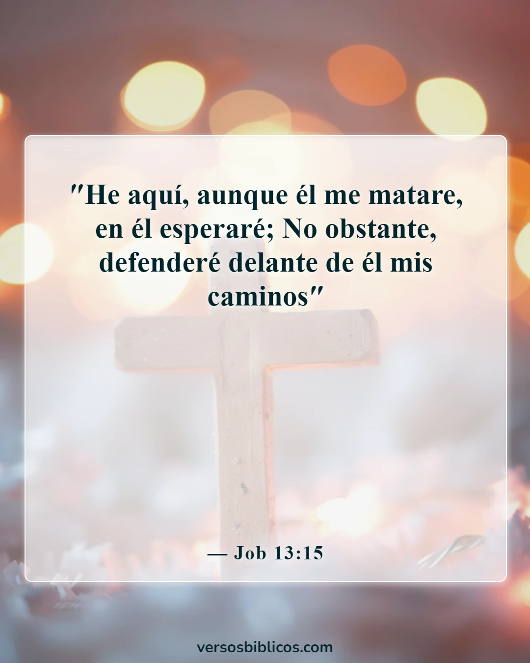 Versículos de la Biblia sobre el sufrimiento laboral (Job 13:15)