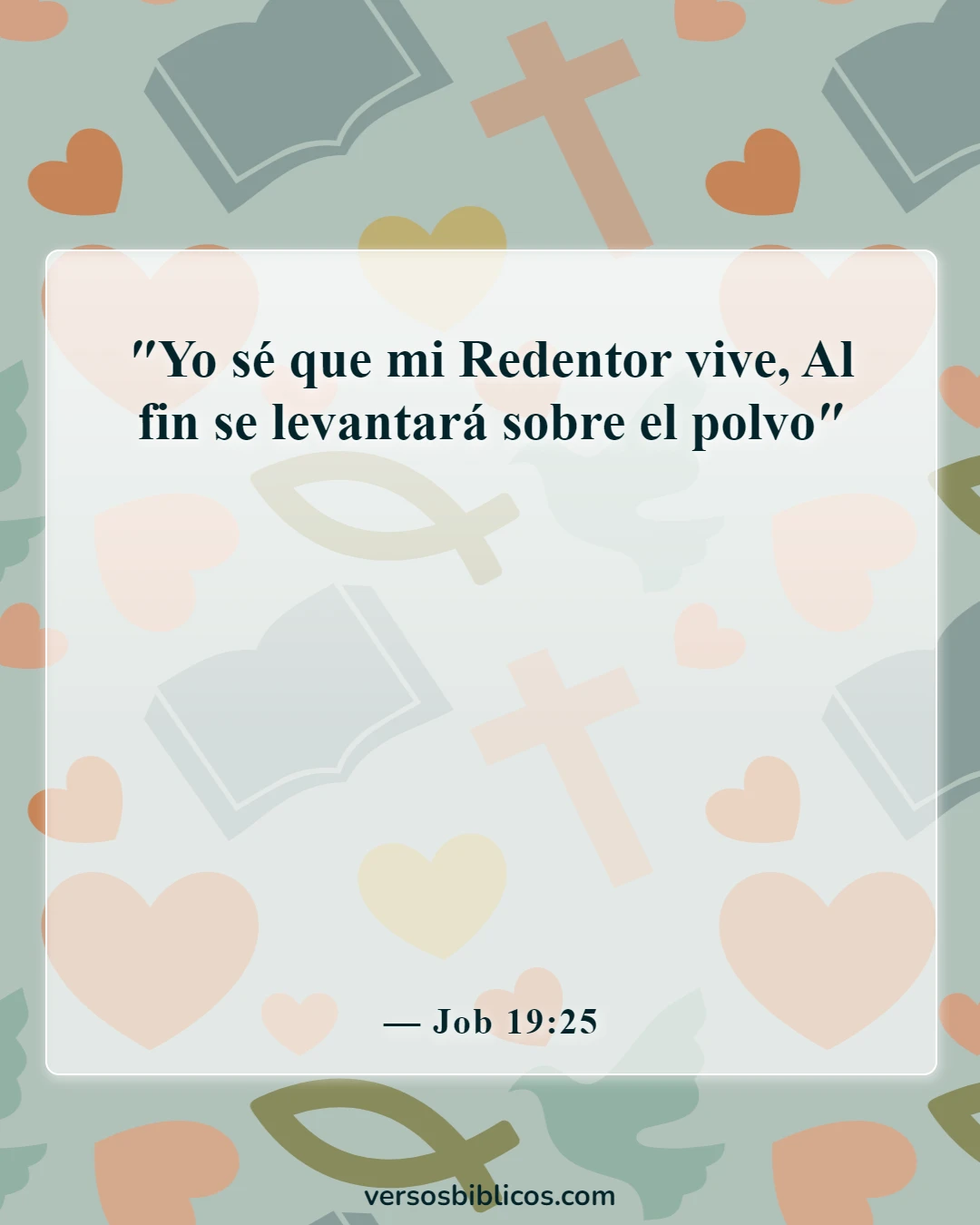 Versículos de la Biblia sobre la esperanza (Job 19:25)