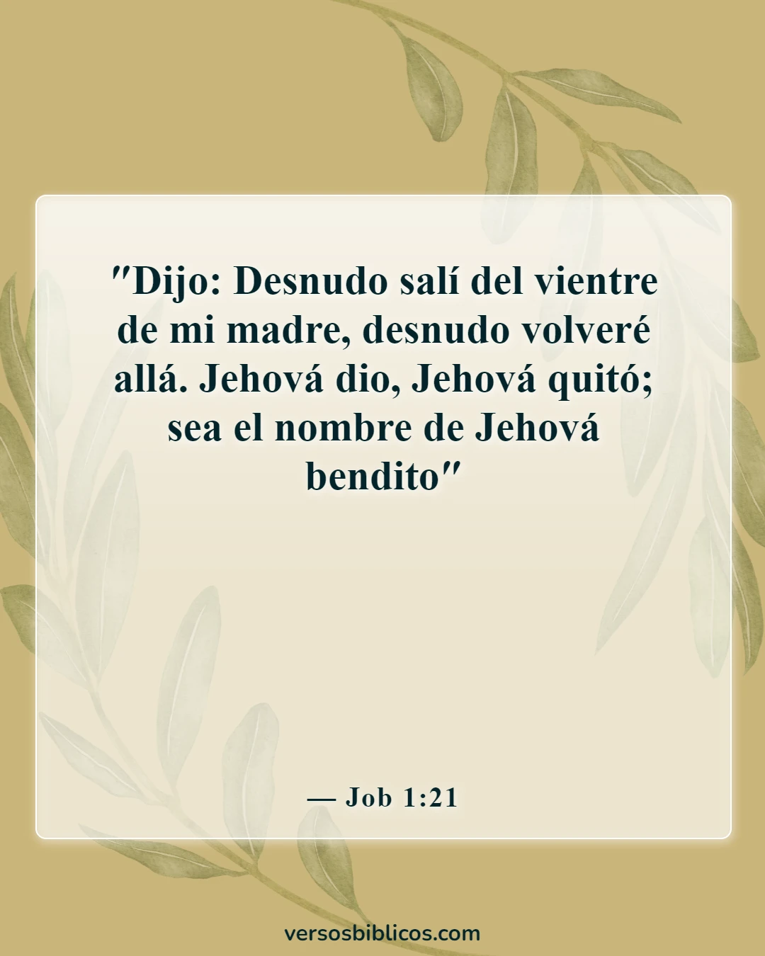 Versículos de la Biblia sobre nunca rendirse (Job 1:21)