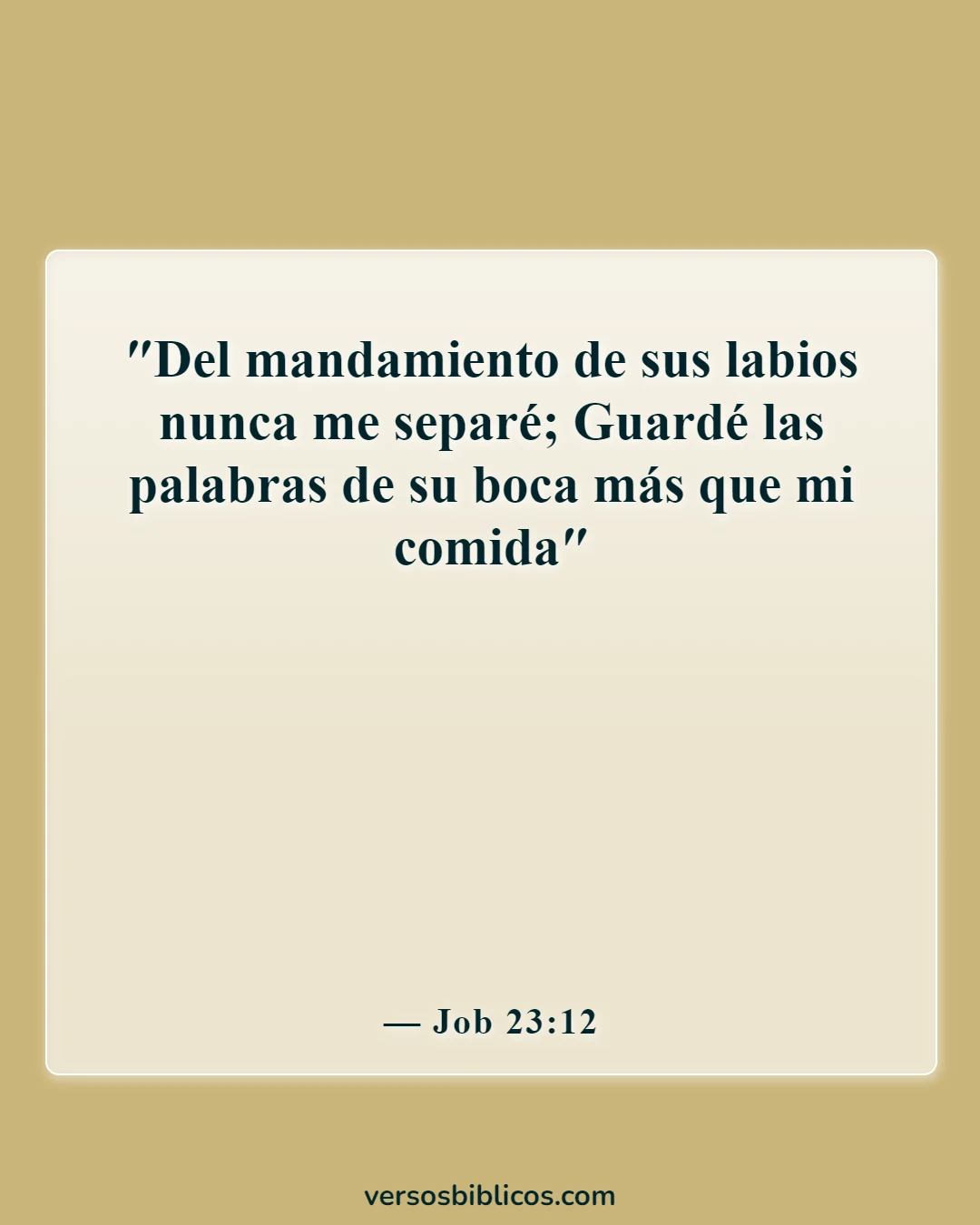 Versículos de la Biblia sobre alimento para el alma (Job 23:12)