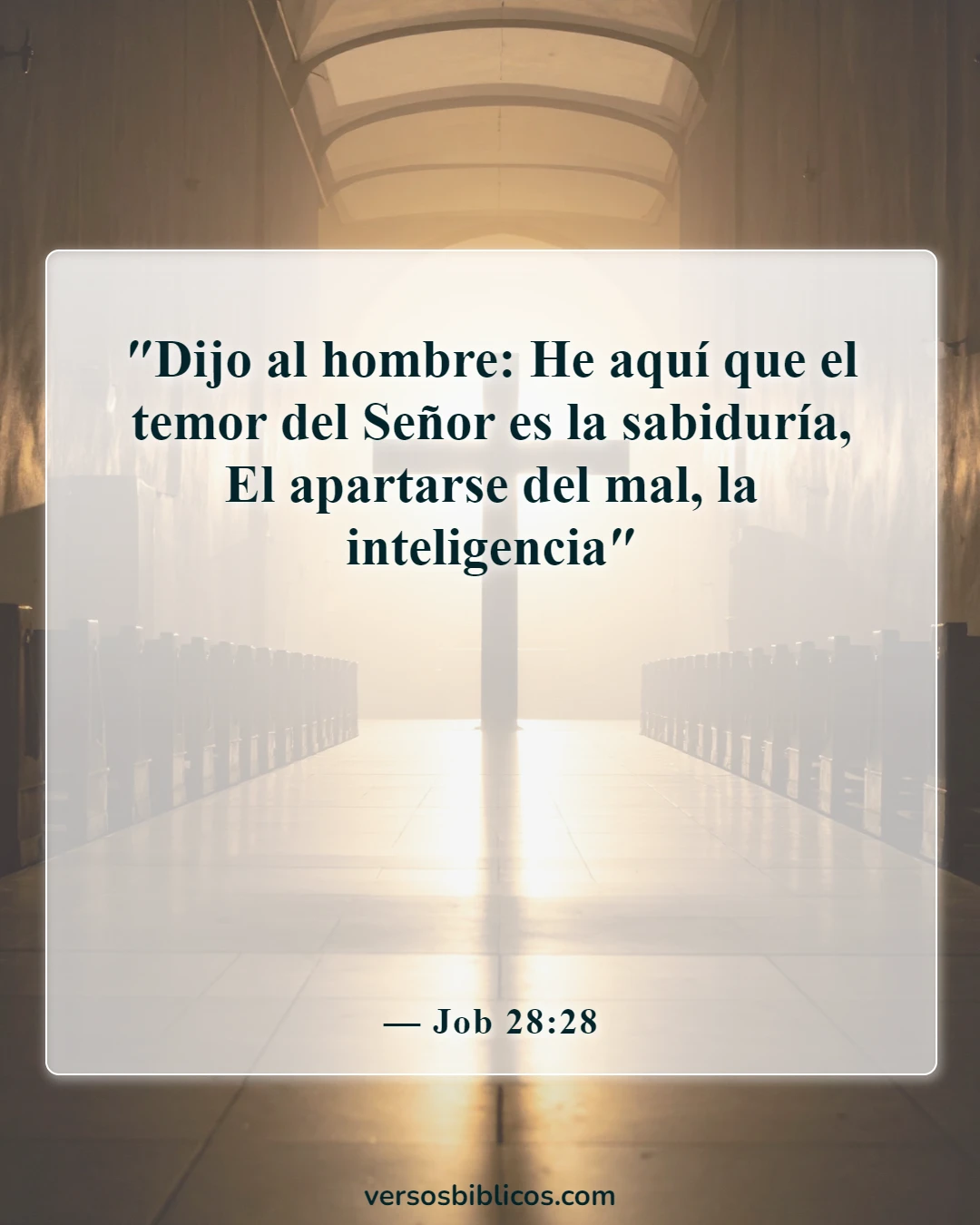 Versículos de la Biblia sobre el ateísmo (Job 28:28)