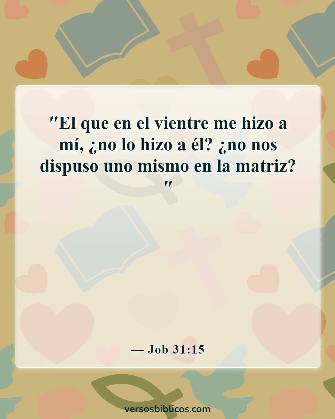 Versículos de la Biblia sobre la vida que comienza en la concepción (Job 31:15)
