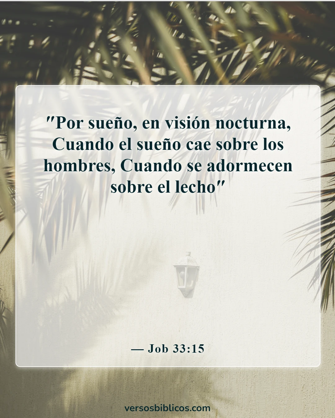 Versículos de la Biblia sobre la búsqueda de sueños (Job 33:15)