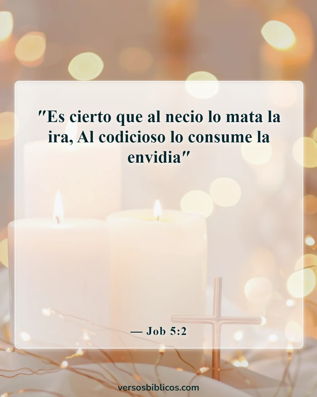 Versículos de la Biblia sobre los celos y la envidia (Job 5:2)