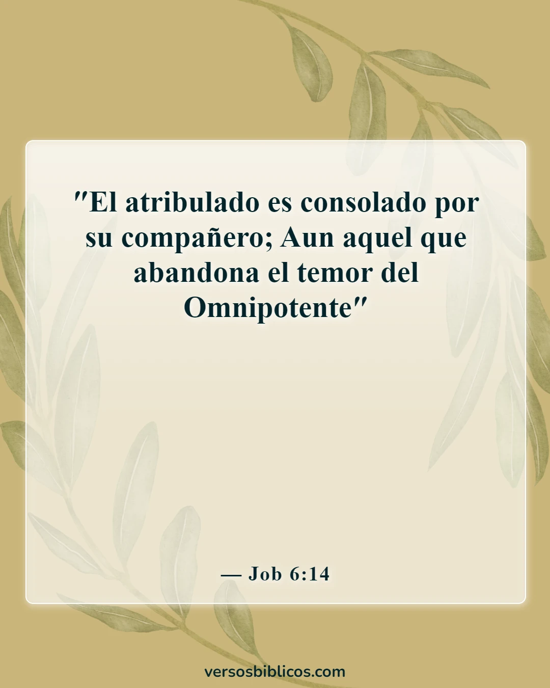 Versículos de la Biblia sobre las hermanas (Job 6:14)
