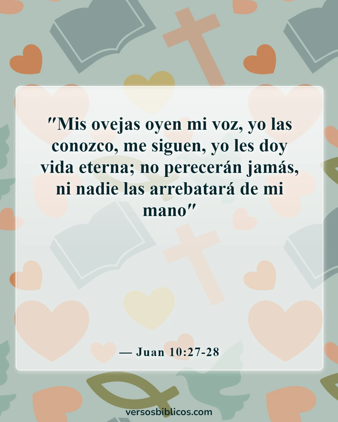 Versículos de la Biblia sobre la soledad (Juan 10:27-28)