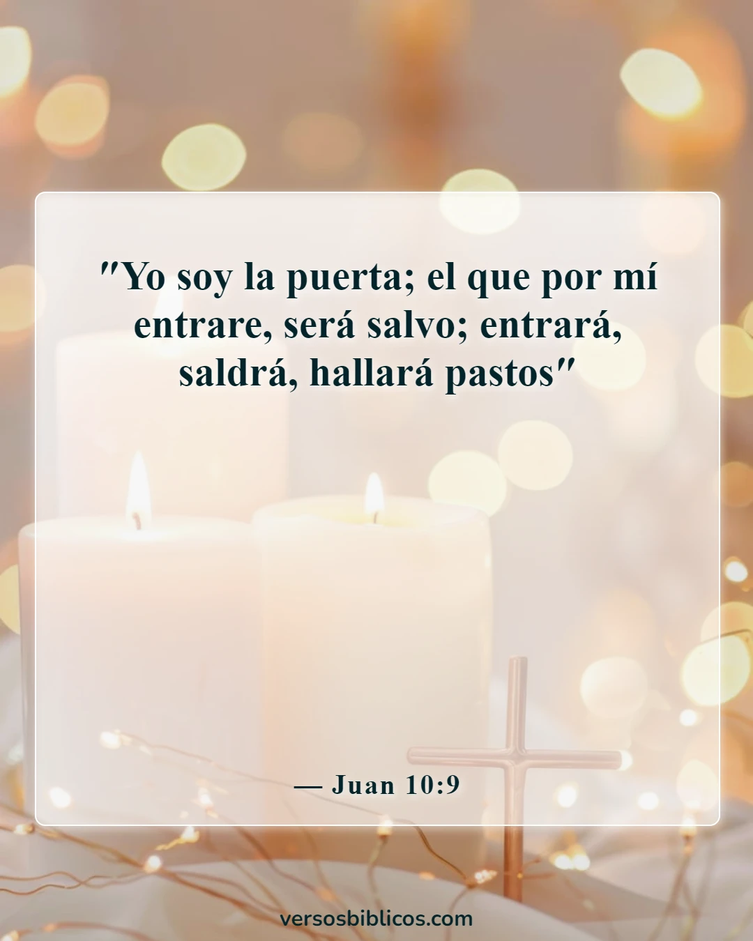 Versículos de la Biblia sobre la salvación solo a través de Cristo (Juan 10:9)
