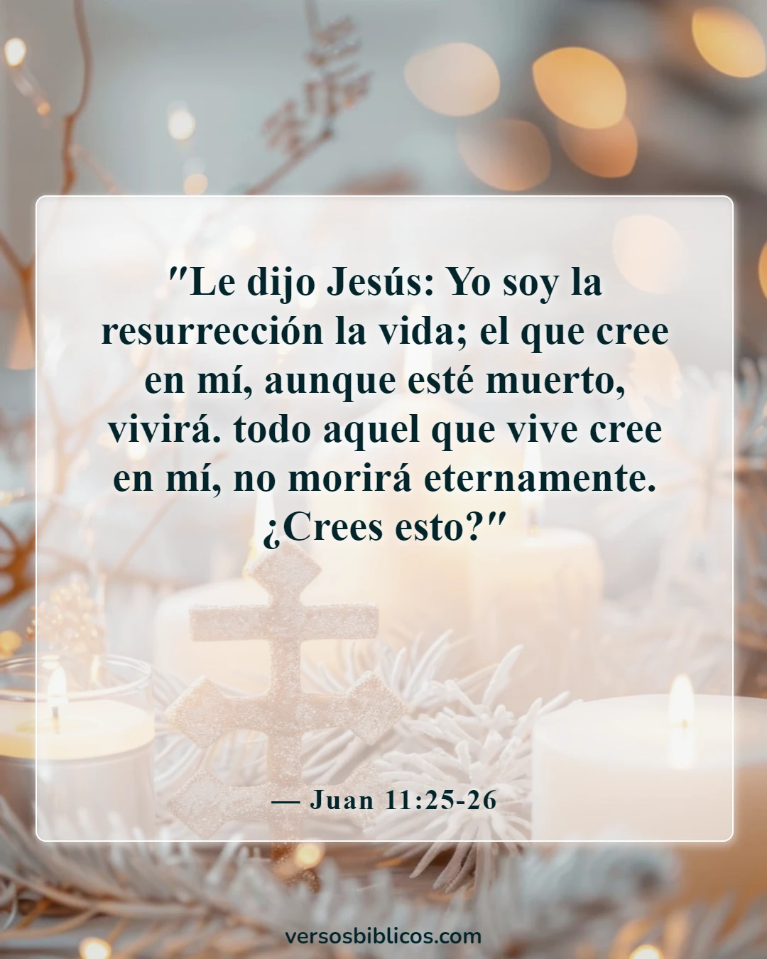 Versículos de la Biblia sobre el duelo por la pérdida de un ser querido (Juan 11:25-26)