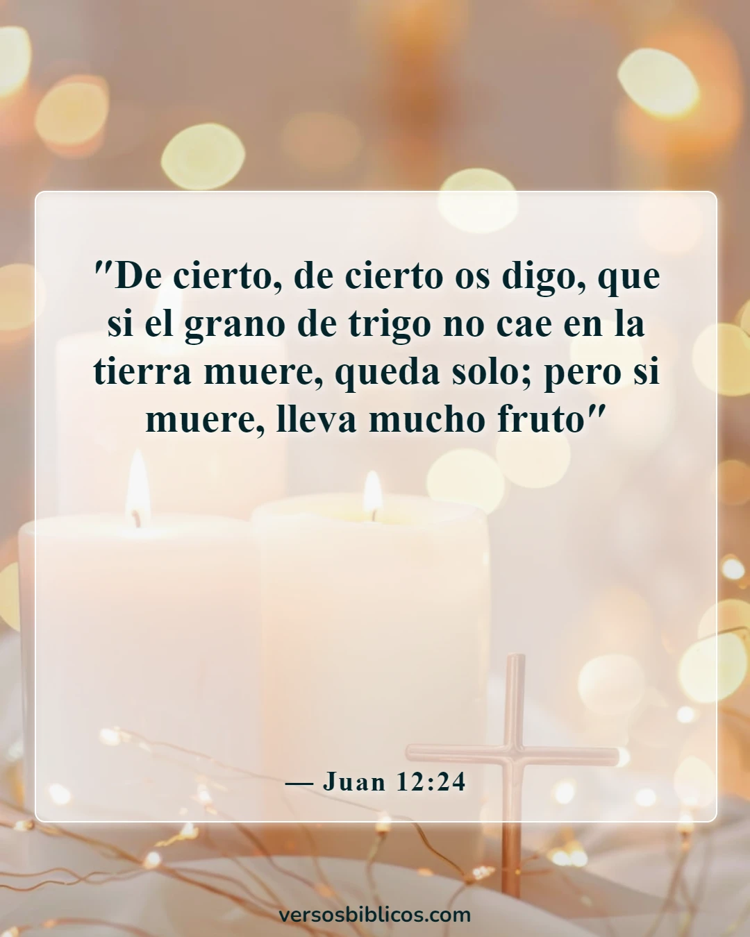 Versículos de la Biblia sobre por qué Dios permite que sucedan cosas malas (Juan 12:24)