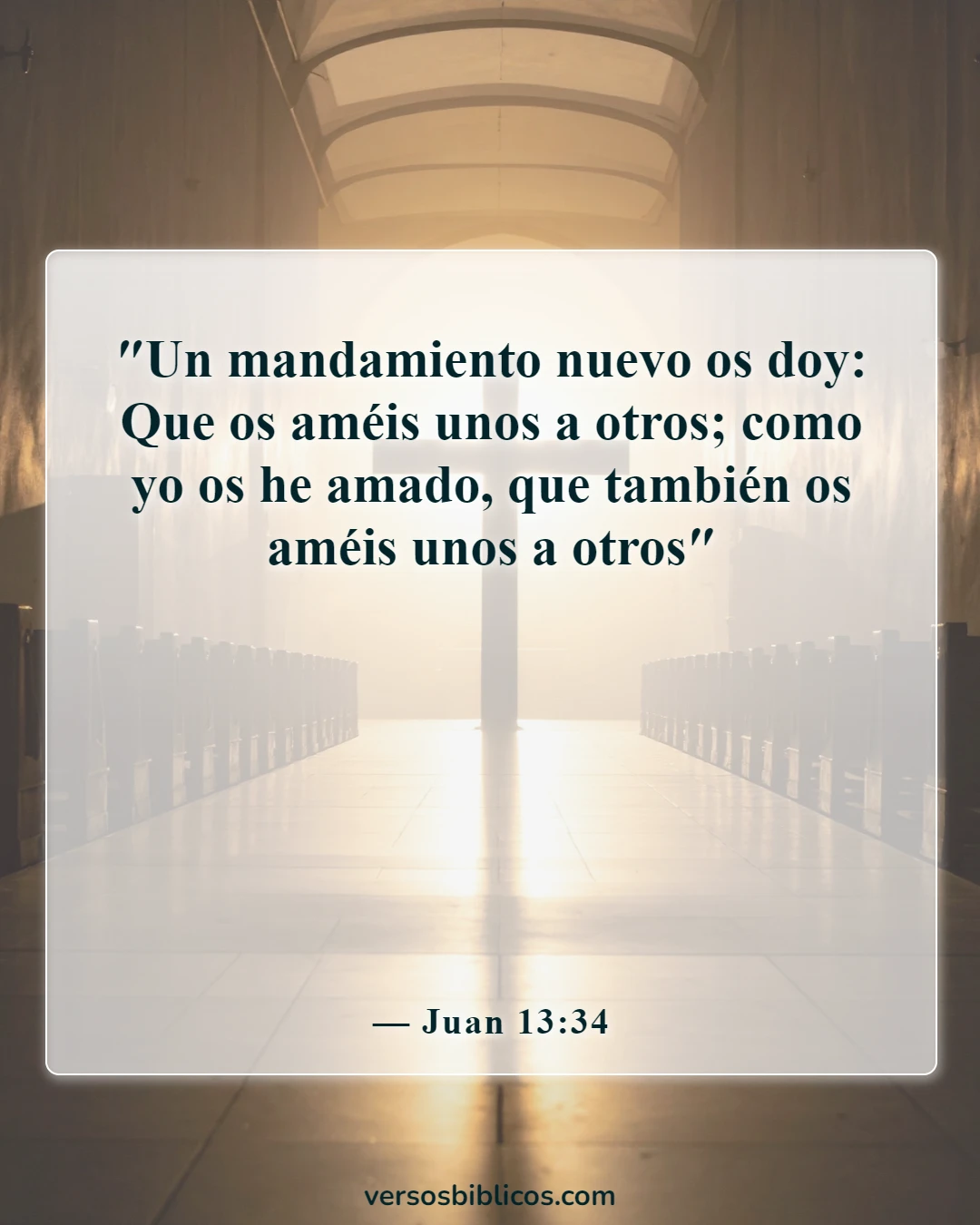 Versículos de la Biblia sobre Jesús (Juan 13:34)