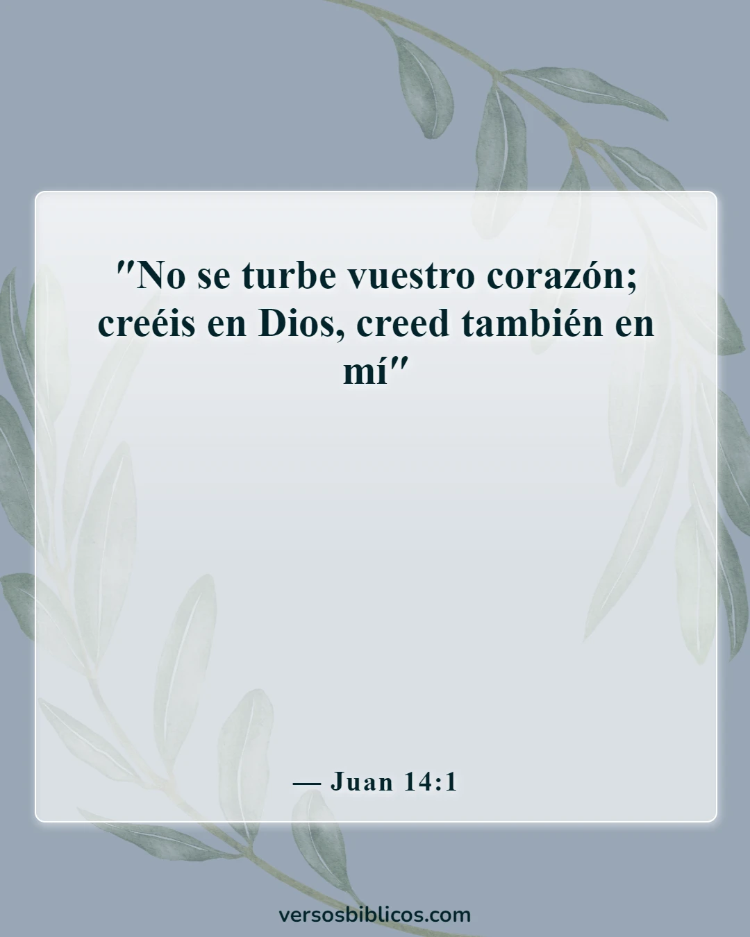 Versículos de la Biblia sobre el duelo por la pérdida de un ser querido (Juan 14:1)