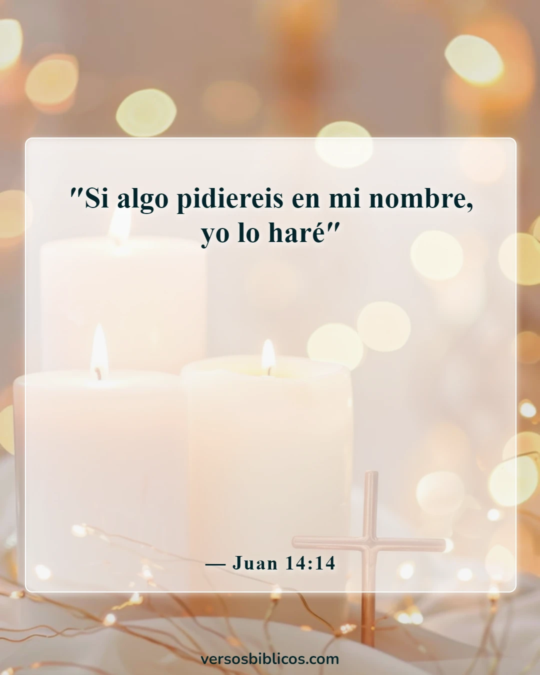 Versículos de la Biblia sobre orar en el nombre de Jesús (Juan 14:14)