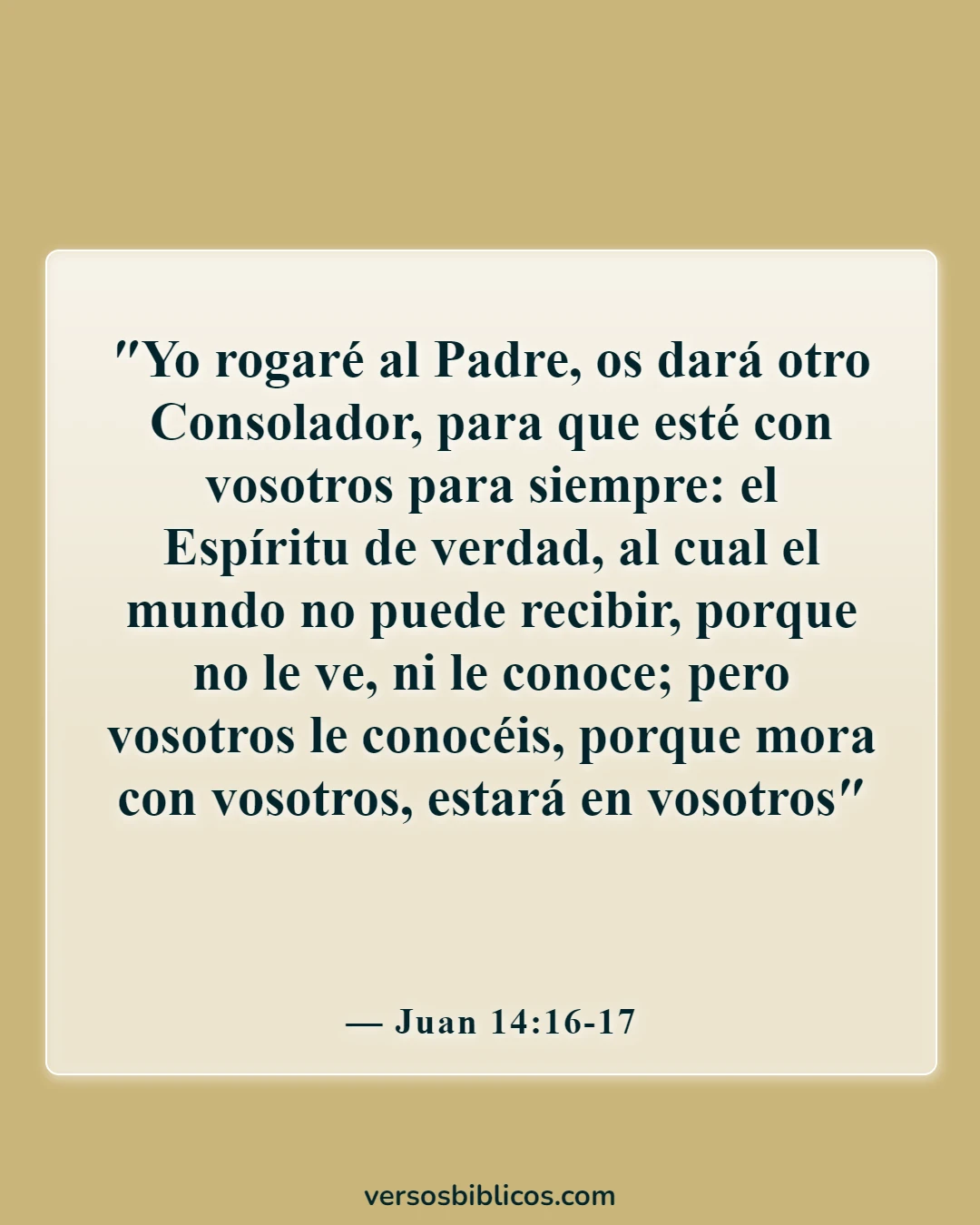 Versículos de la Biblia sobre el duelo por la pérdida de un ser querido (Juan 14:16-17)