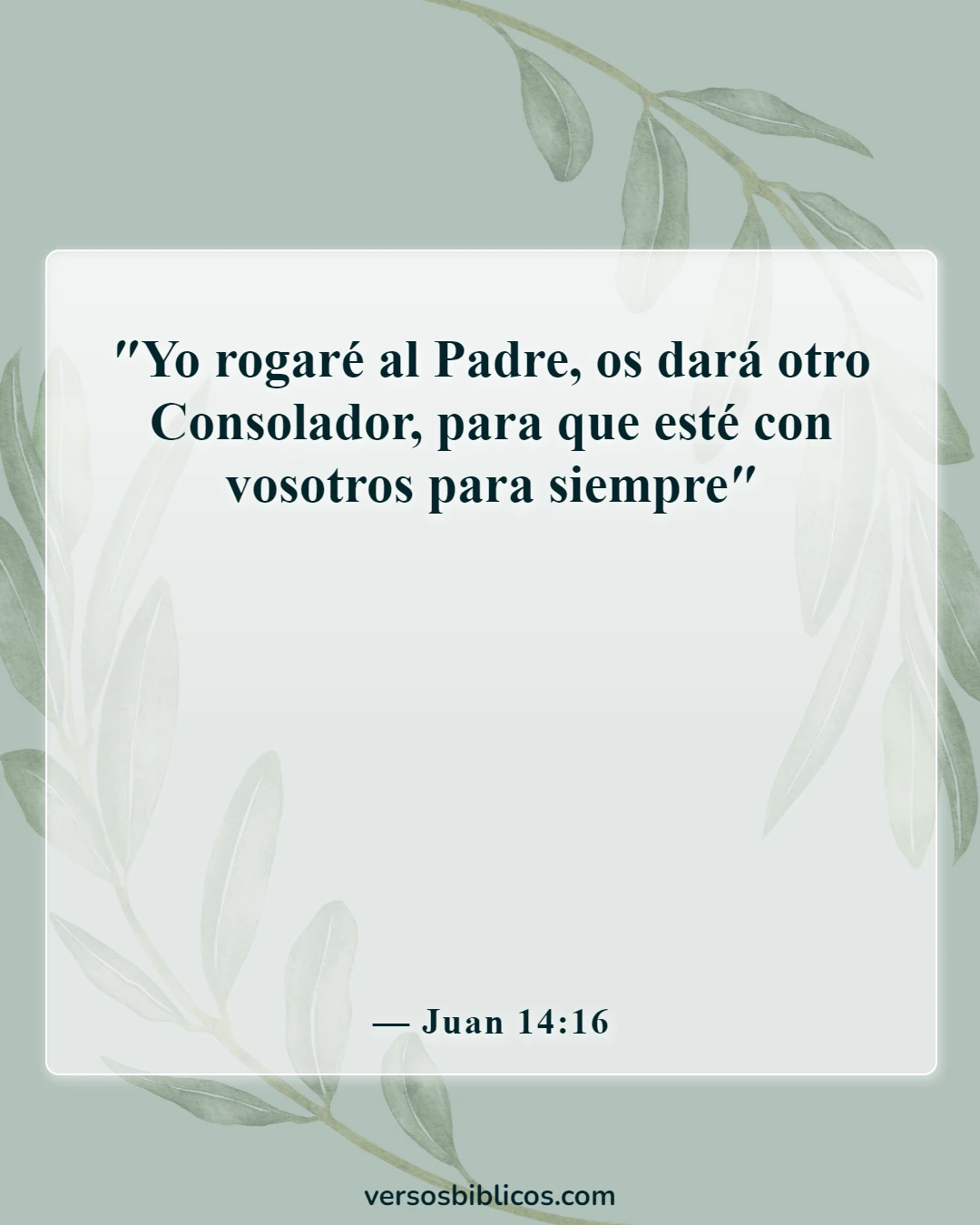 Versículos de la Biblia sobre Dios está contigo (Juan 14:16)