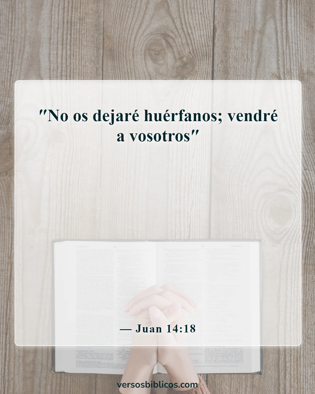Versículos de la Biblia sobre la soledad (Juan 14:18)