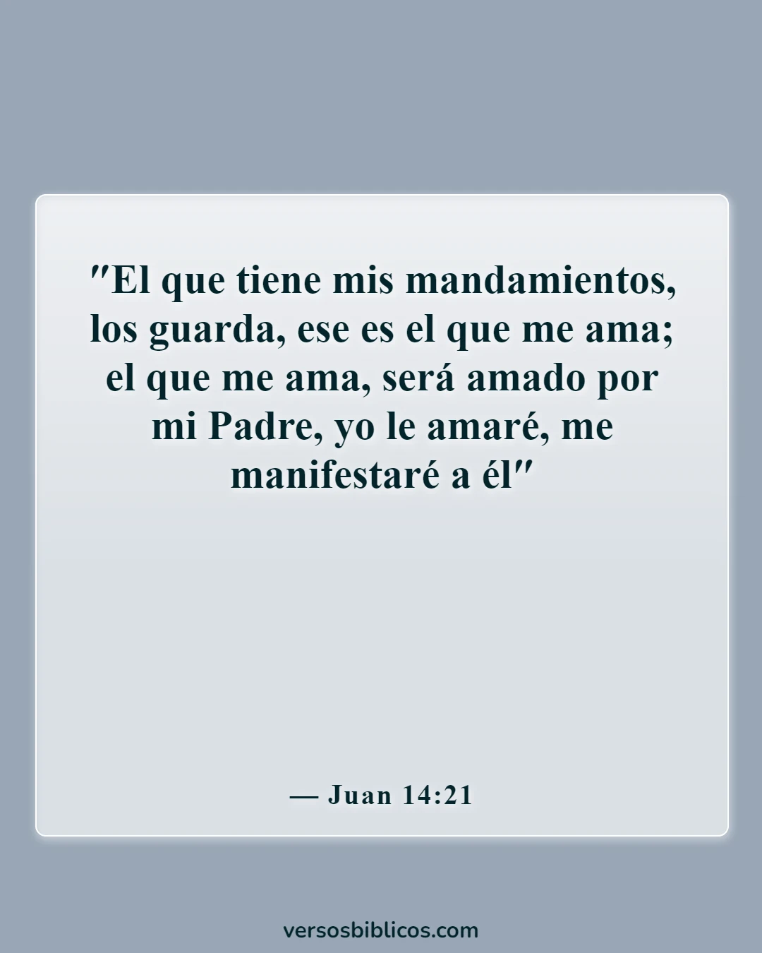 Versículos de la Biblia sobre el amor lo vence todo (Juan 14:21)