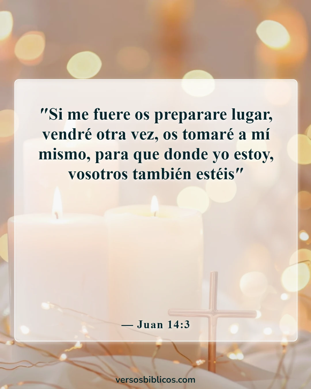 Versículos de la Biblia sobre el rapto (Juan 14:3)