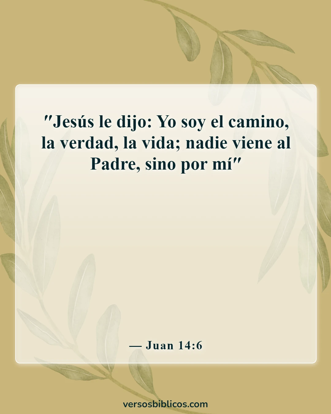 Versículos de la Biblia sobre ir al cielo (Juan 14:6)