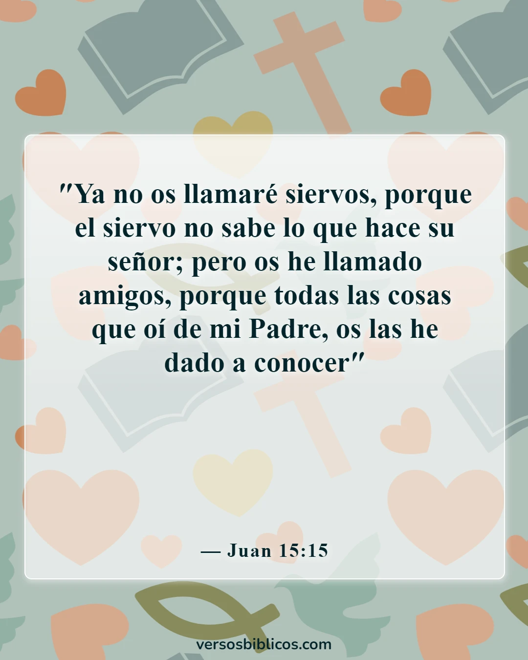 Versículos de la Biblia sobre elegir amigos (Juan 15:15)