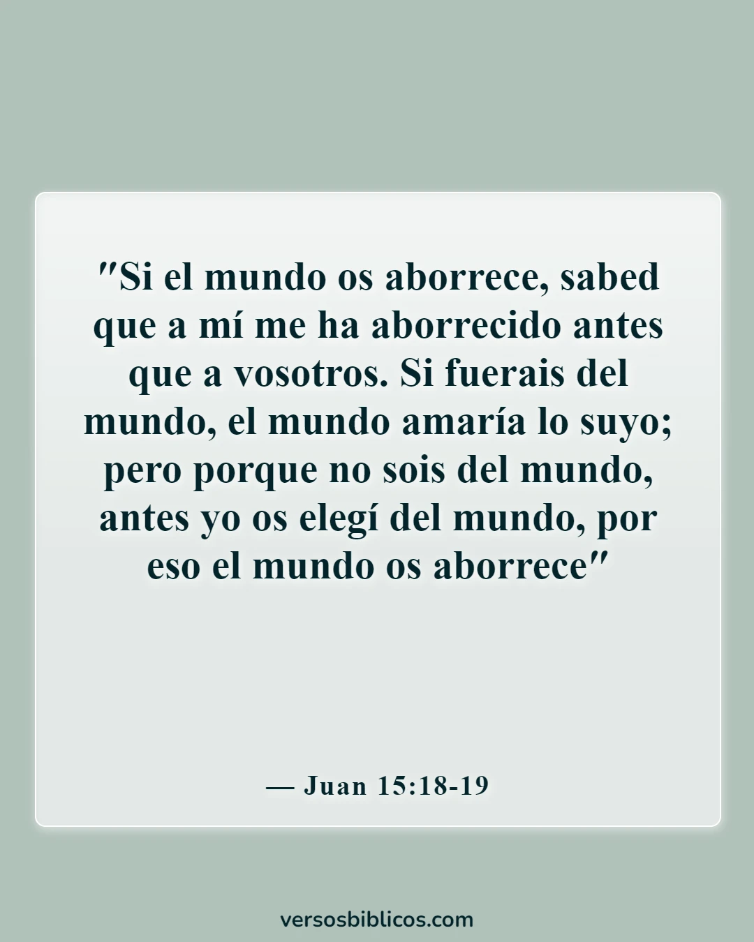 Versículos de la Biblia sobre la exención religiosa (Juan 15:18-19)
