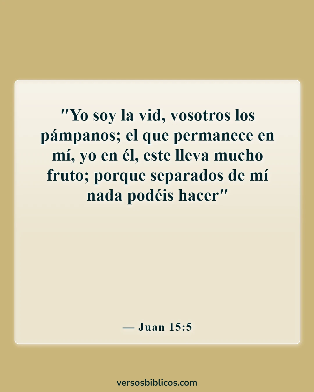 Versículos de la Biblia sobre dar fruto (Juan 15:5)
