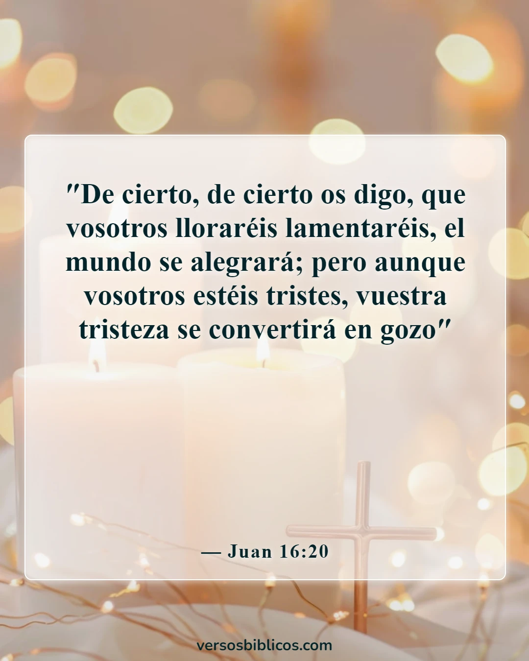 Versículos de la Biblia sobre el gozo en el sufrimiento (Juan 16:20)