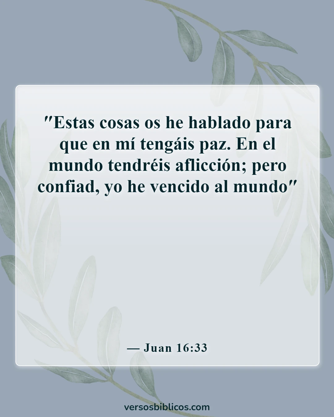 Versículos de la Biblia sobre la soledad (Juan 16:33)