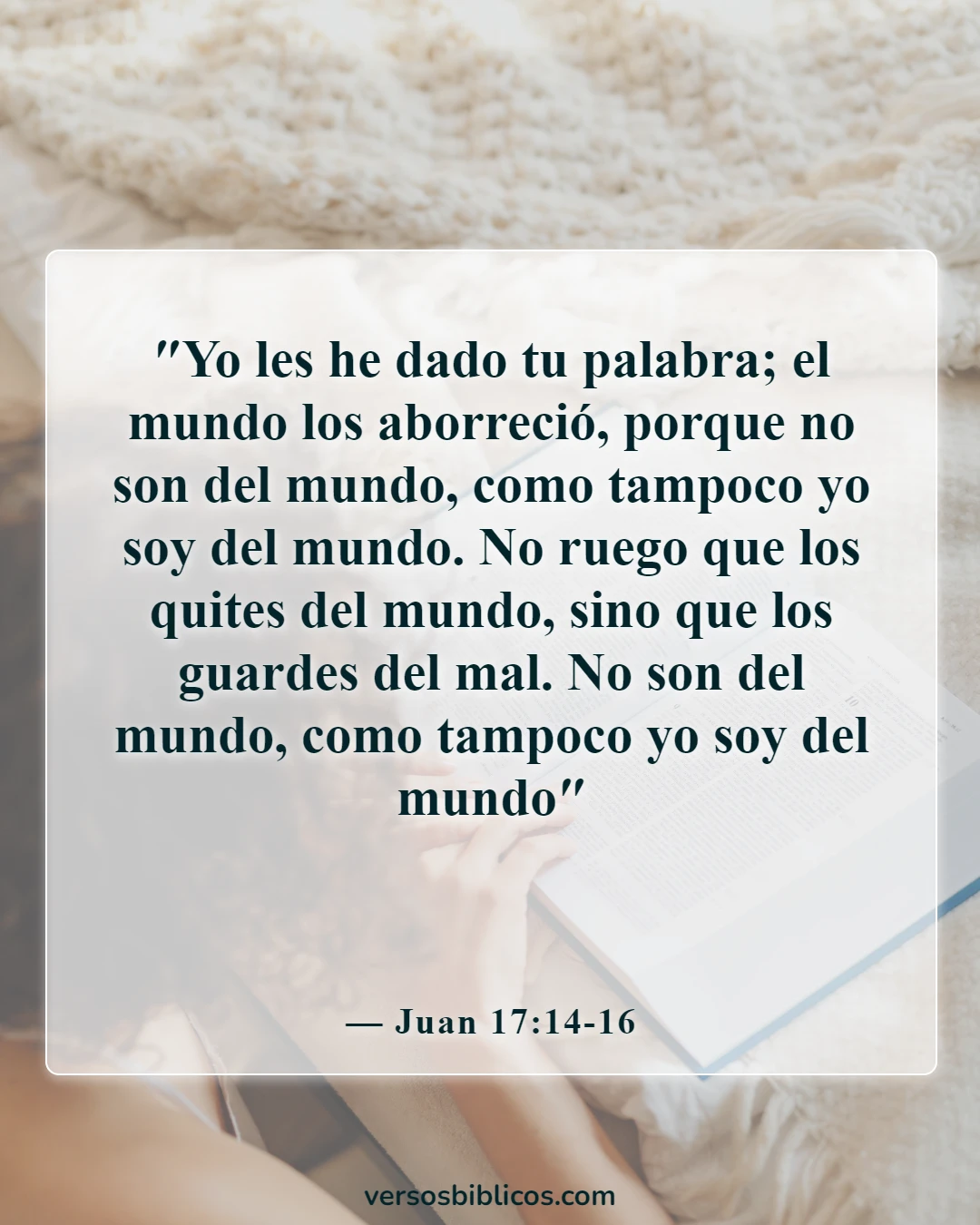 Versículos de la Biblia sobre las distracciones del mundo (Juan 17:14-16)