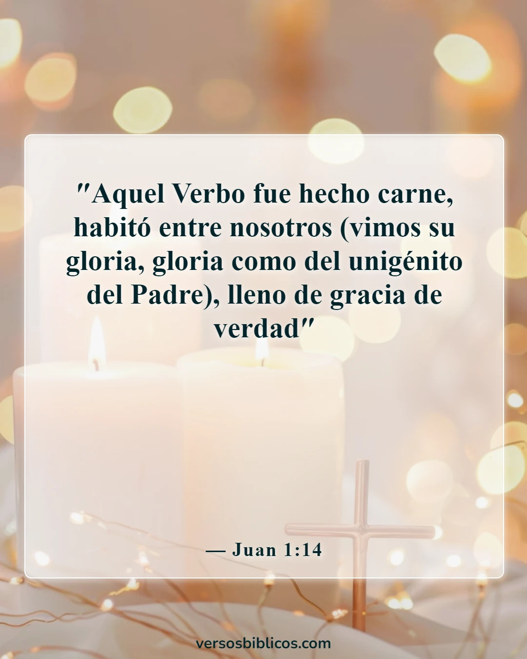 Versículos de la Biblia sobre Dios es humilde (Juan 1:14)