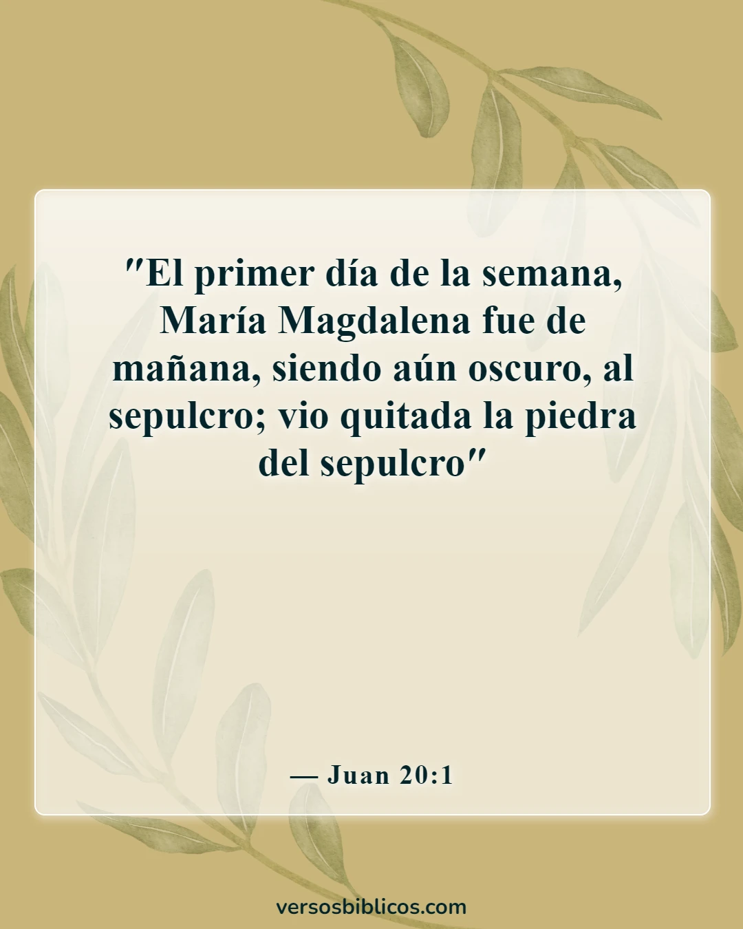 Versículos de la Biblia sobre el culto dominical (Juan 20:1)