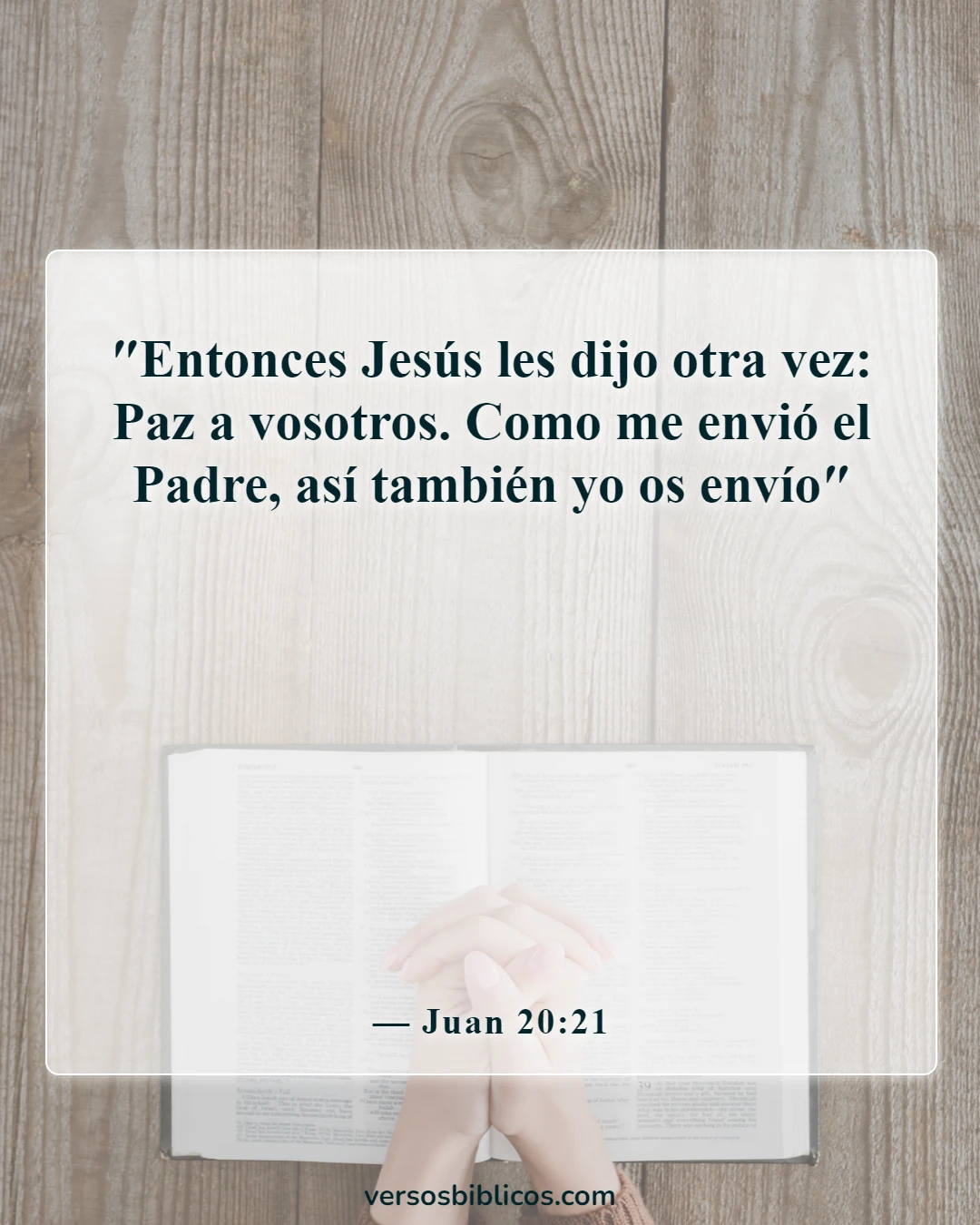 Versículos de la Biblia sobre misión y visión (Juan 20:21)