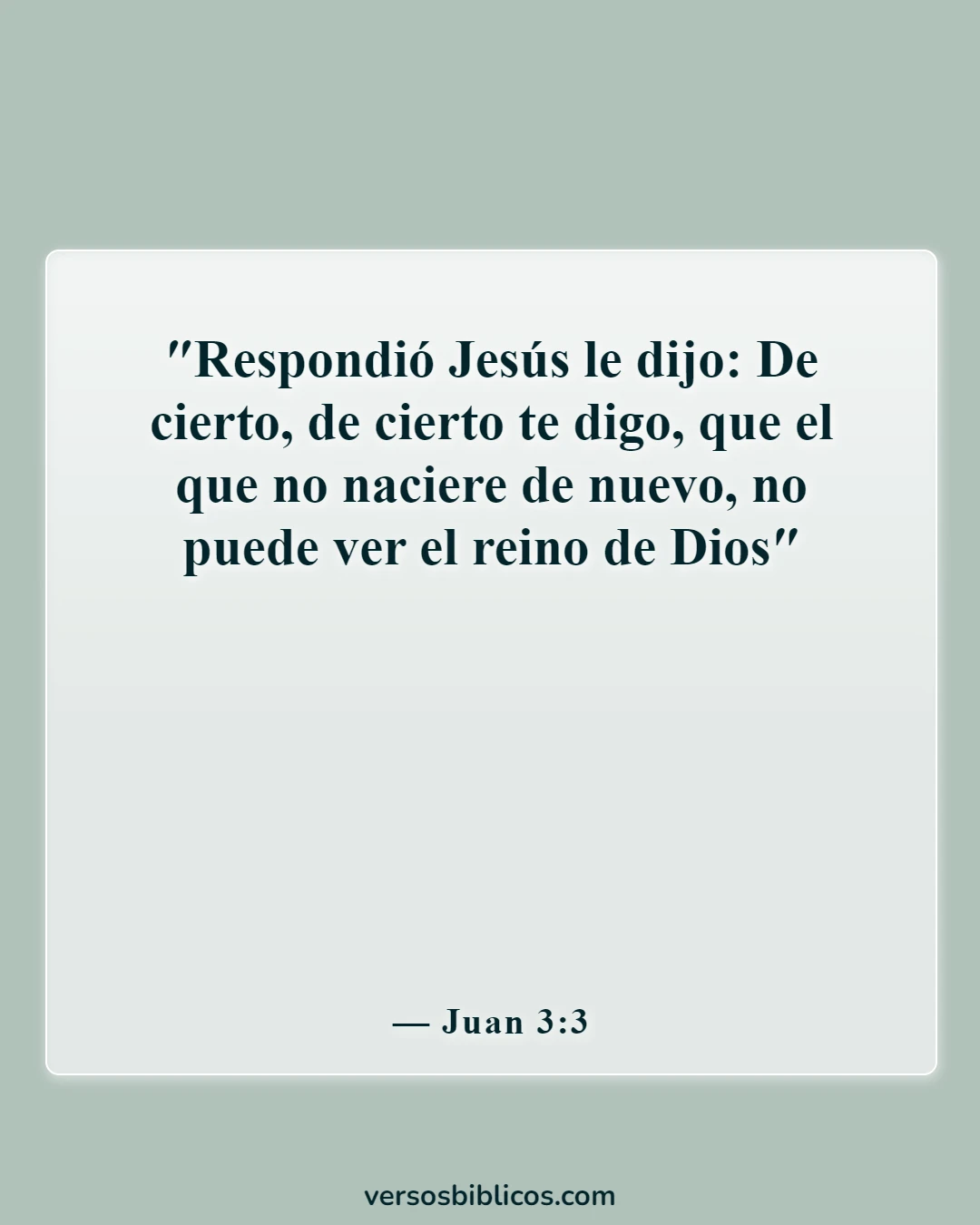 Versículos de la Biblia sobre el verdadero cristiano (Juan 3:3)