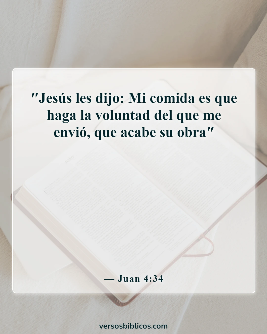 Versículos de la Biblia sobre Jesús haciendo la voluntad del Padre (Juan 4:34)