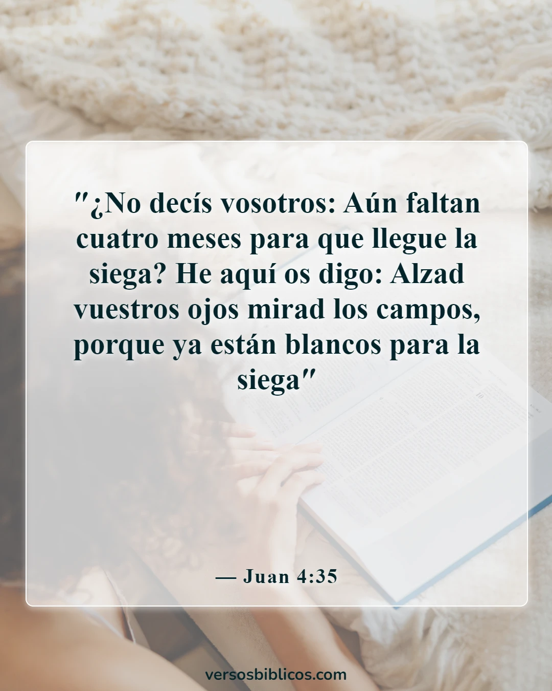 Versículos de la Biblia sobre la agricultura (Juan 4:35)
