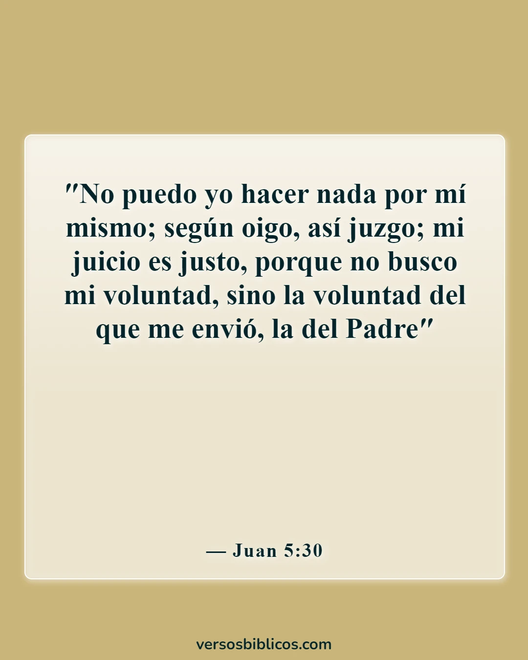 Versículos de la Biblia sobre Jesús haciendo la voluntad del Padre (Juan 5:30)